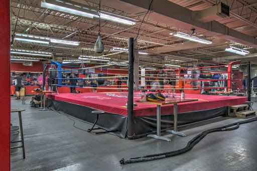 Club De Boxe l'Envol - Thumbnail