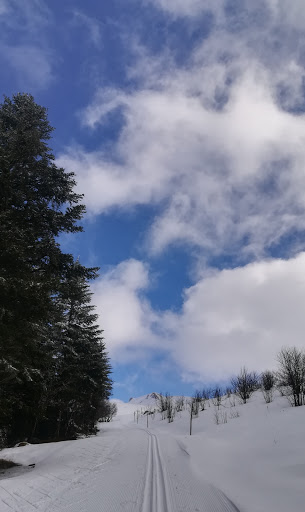 LA MONTAGNE D ESPINOUX Gallery - France