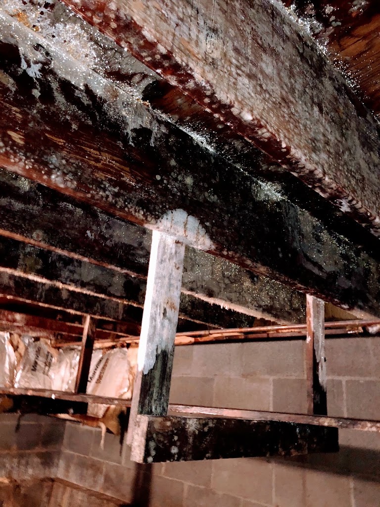 Ak Restoration Pro Anchorage Water & Fire photo