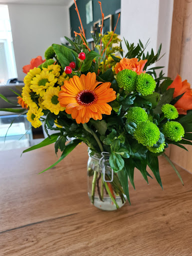 Blumen Dinges - Visual