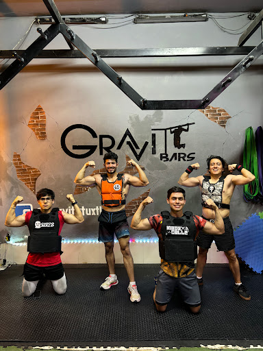 Gravity Bars - Visual