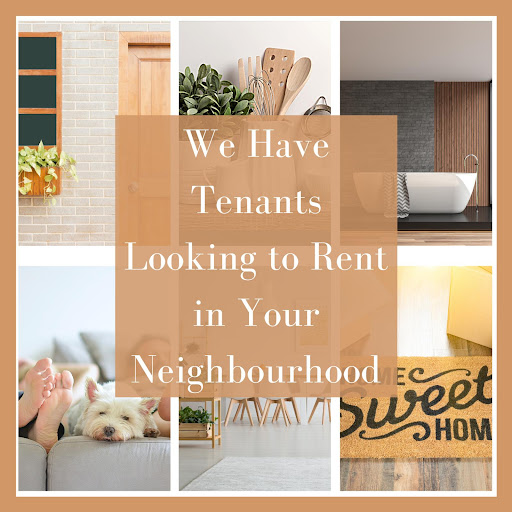 Anthony Scott Real Estate - Thumbnail