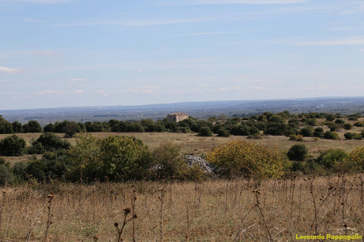 Panorama sulla Masseria Lopez