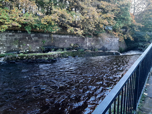 Allander Fish ladder Gallery - United Kingdom