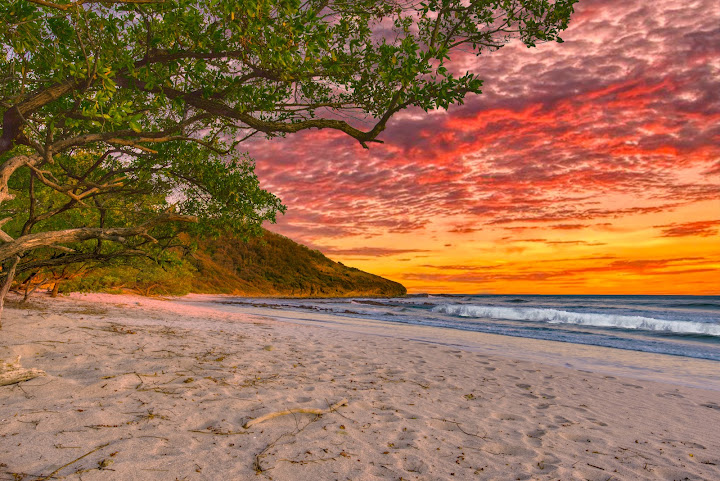 Hotel Punta Teonoste by null