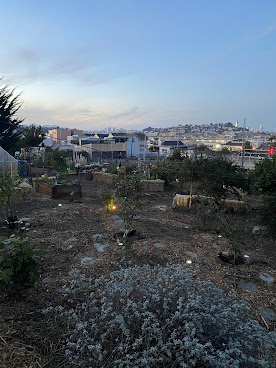 Calibird Pollinator Sanctuary by Dragonspunk by null