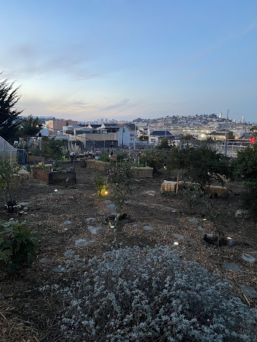 Calibird Pollinator Sanctuary by Dragonspunk by null