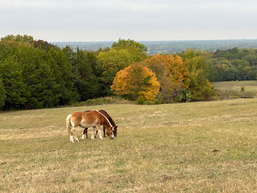 2R Ranch & Equestrian Center - Thumbnail