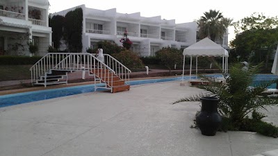 Photos of El Mostafa For Stair administration Atef Boray