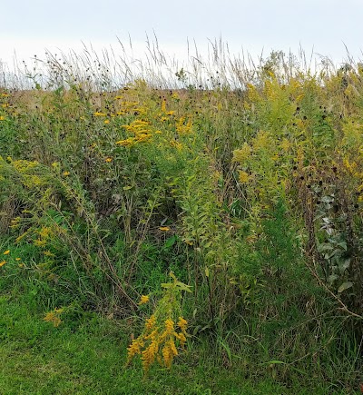 Annett Nature Center - Warren County Conservation Board