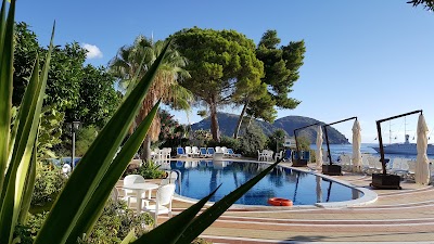 lodging
