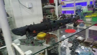 Photos of Wizard Aquarium