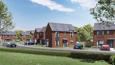 Hive Homes
