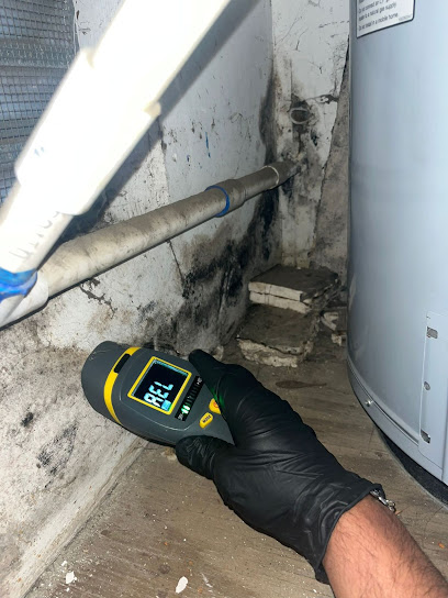 Veritas Mold Home Inspections