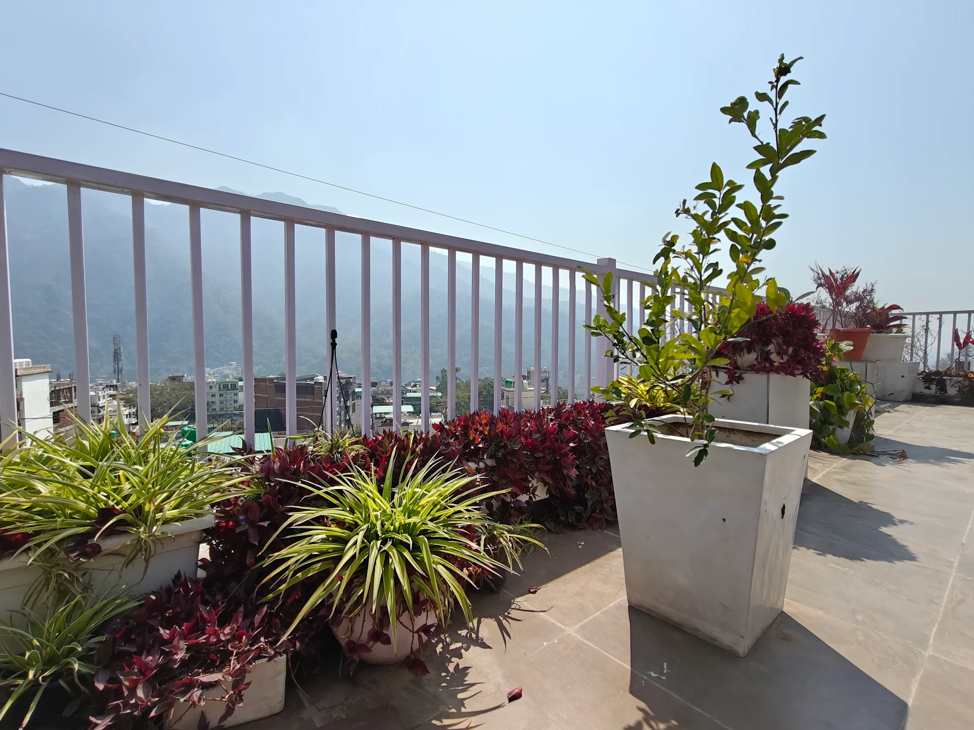 Rishikesh Yogashala