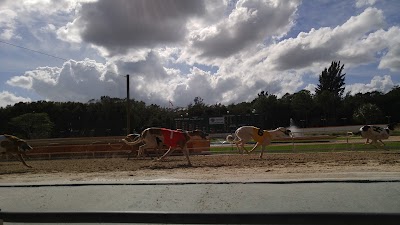 Photos of Naples Fort Myers Greyhound Racing & Poker