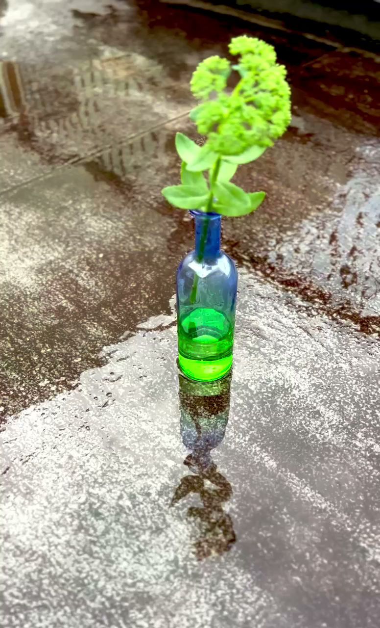 TRADITION ACOUSTIC. トラディションアコースティック/TA.SHOP