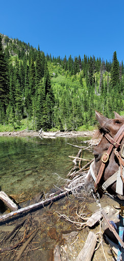 Lily Lake Campsite - Thumbnail