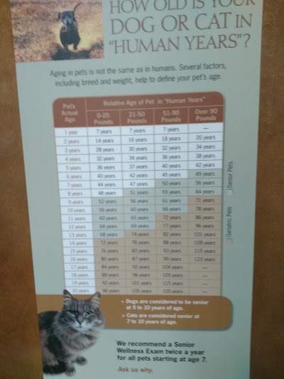 Photos of Laurel Oaks Animal Hospital