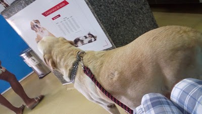Photos of Veterinary Clinic Kamakura 24 hours- Bangu