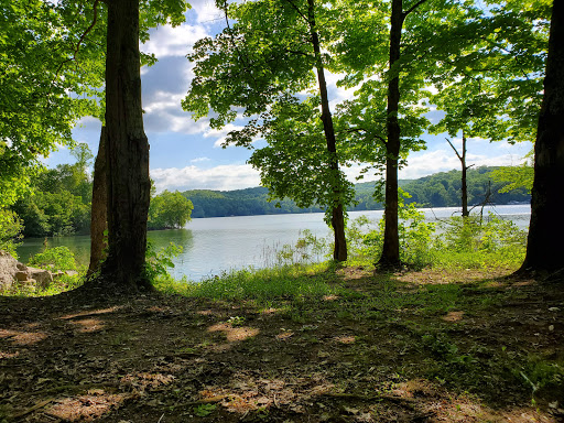 Lake rd. Campground - Thumbnail