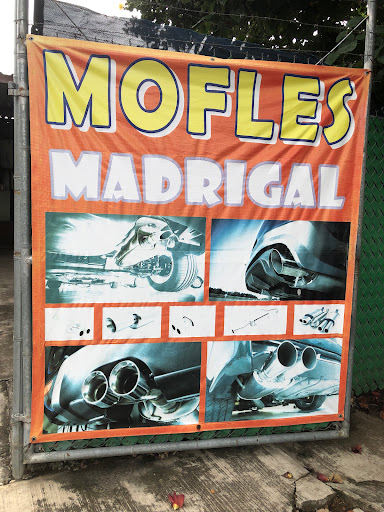 Mofles Madrigal - Thumbnail