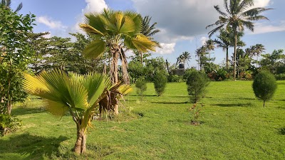 Photos of Eden Haiti