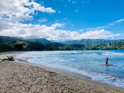 Hanalei Honu Hale