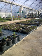 Le jardin de Cathy à Salviac