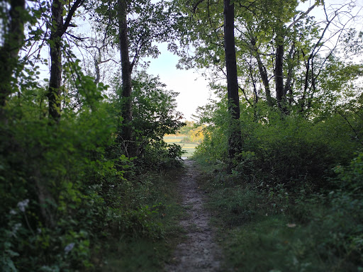 Turtlehead Lake - Visual