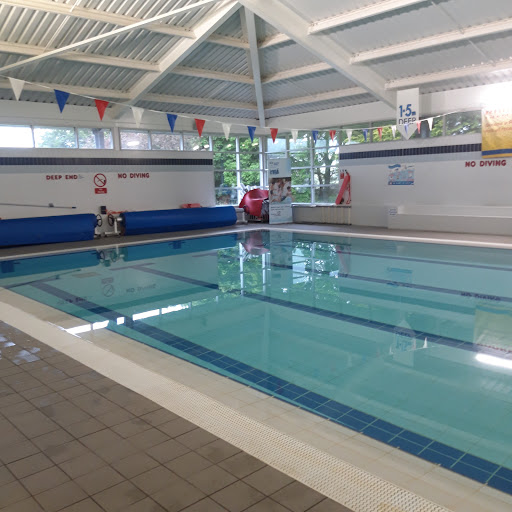The Fun Pool - Visual