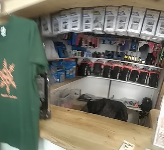 Roues Libres - Magasin de vélos