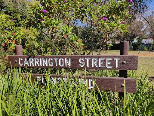 Carrington Street Playground - Thumbnail