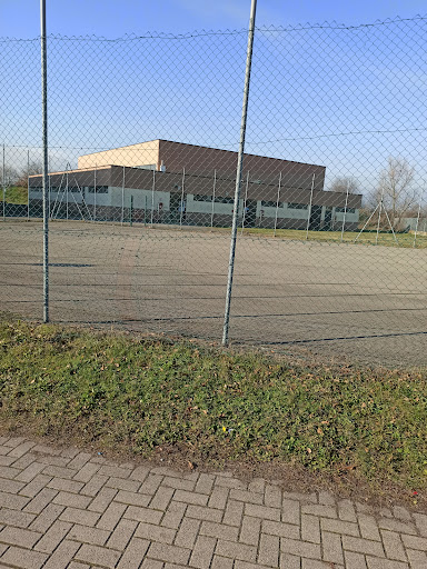Palestra Corni - Visual