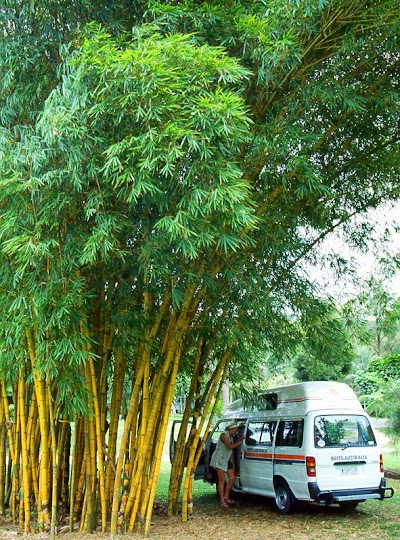 Photos of Wild River Caravan Park