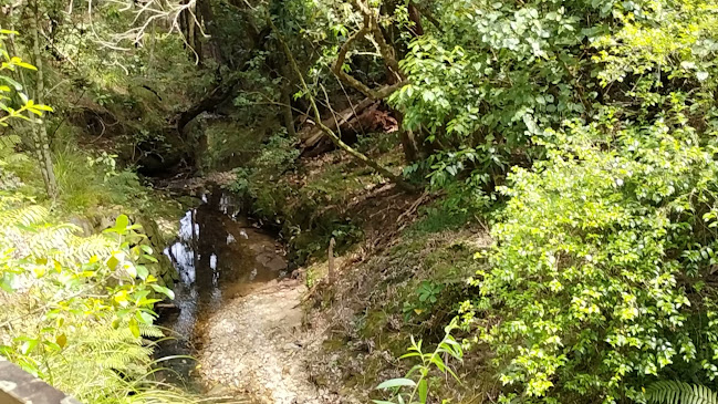 Reviews of Kowhai Park in Warkworth - Other