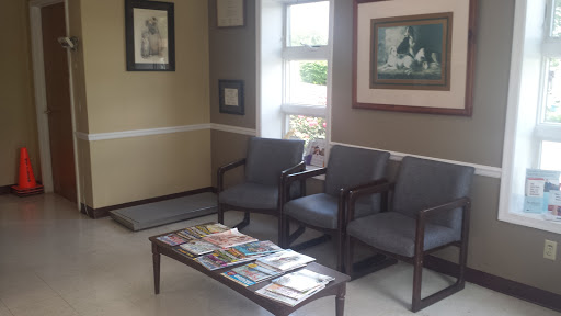 Animal Clinic of Verona - Thumbnail