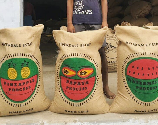 FTA Coffee - Visual