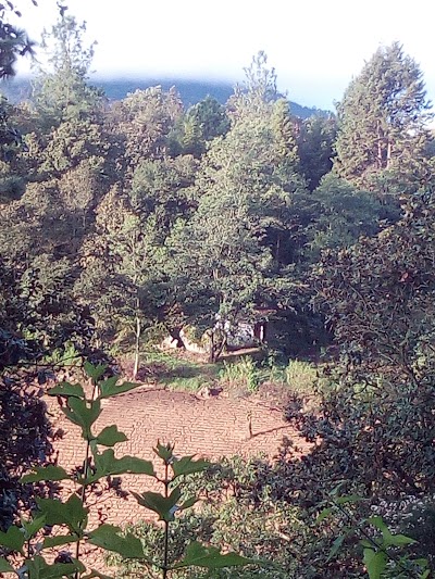 Photos of Cerro El Ba&uacute;l