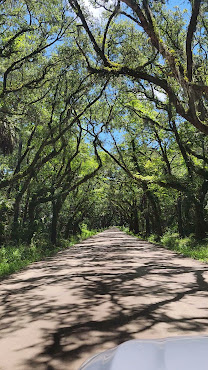 Botany Bay Heritage Preserve/Wildlife Management Area by null