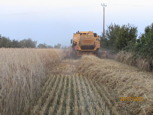 Photo n°4 de la Ferme Bio La Connouere à Mauléon (Maraîcher)