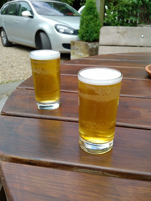 The Yew Tree