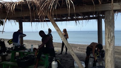 Photos of Hank's Beach Bar