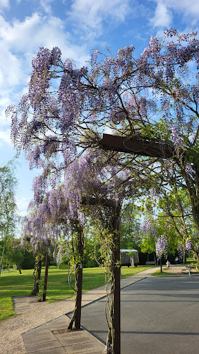 Kong-Arrildshoj Park