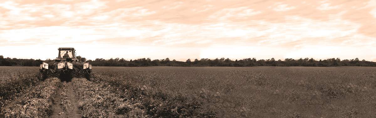 Hope & Harmony Farms by null