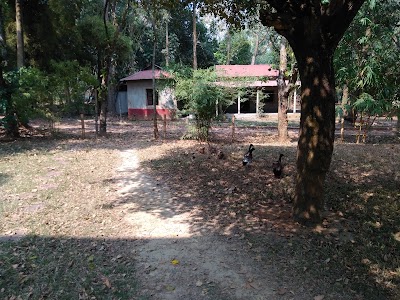 Photos of Swadesh Khamar