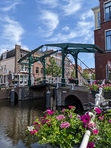 Rotsvast Leiden Logo