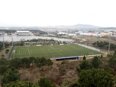 stadium