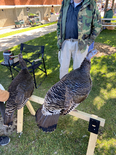 Cache Valley Gardener's Market - Thumbnail