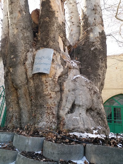Photos of Mosque Sohanak